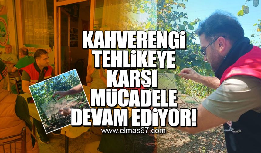 Kahverengi tehlikeye karşı mücadele devam ediyor!