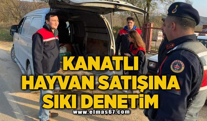 KANATLI HAYVAN SATIŞINA SIKI DENETİM