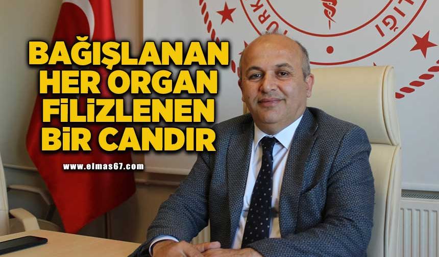 Bağışlanan her organ filizlenen bir candır