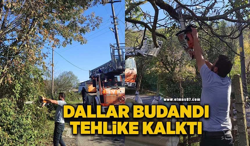 Ağaç dalları budandı tehlike ortadan kalktı