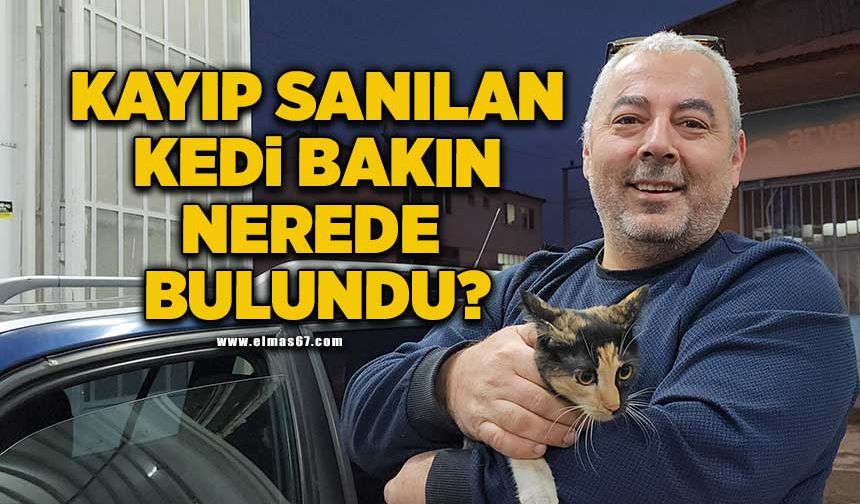 Kaybolduğunu sandığı kedisi 'Leydi', otomobilin kaputunun altından çıktı