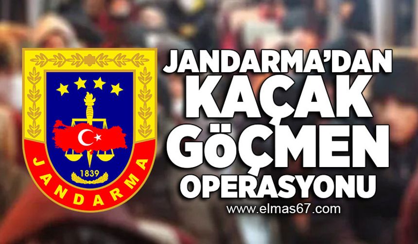 Jandarma'dan kaçak göçmen operasyonu