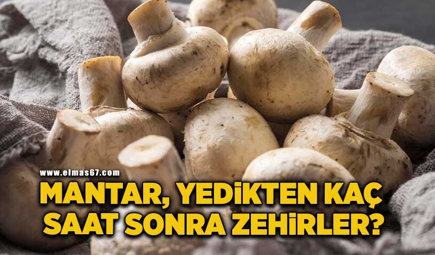 Mantar yedikten kaç saat sonra zehirler?