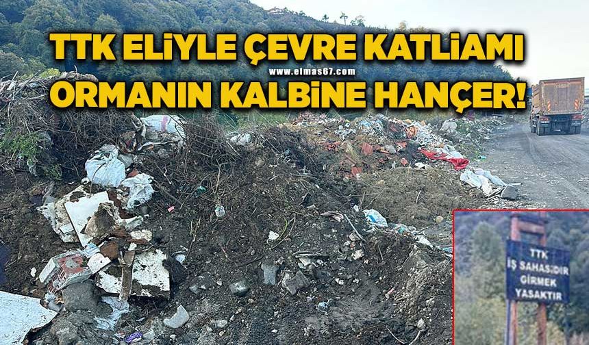 TTK eliyle çevre katliamı… Ormanın kalbine hançer!