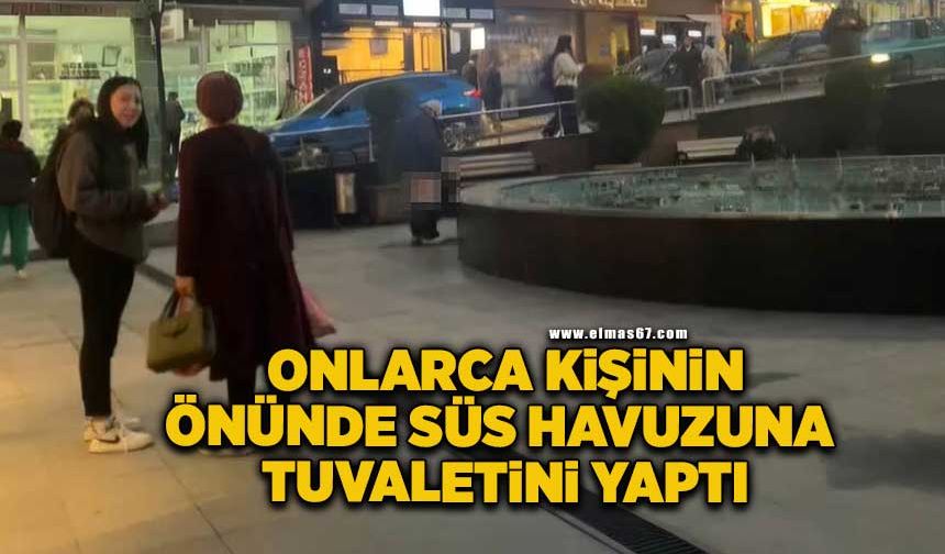 Sokak ortasındaki süs havuzuna tuvaletini yaptı