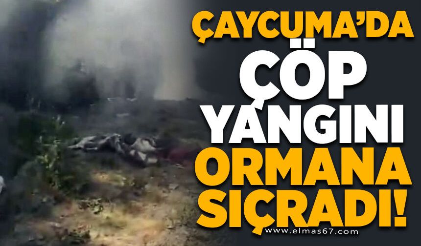 Çaycuma'da çöp yangını ormana sıçradı, 2 dönüm arazi zarar gördü