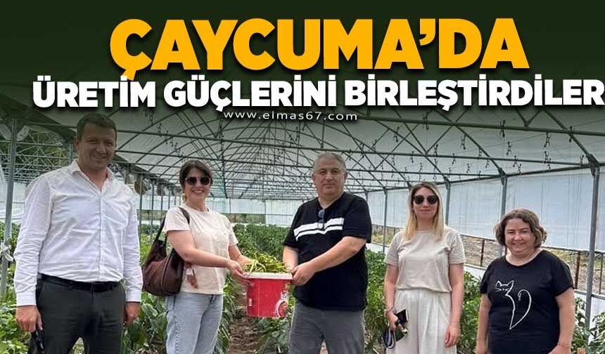 Çaycuma’da üretim güçlerini birleştirdiler