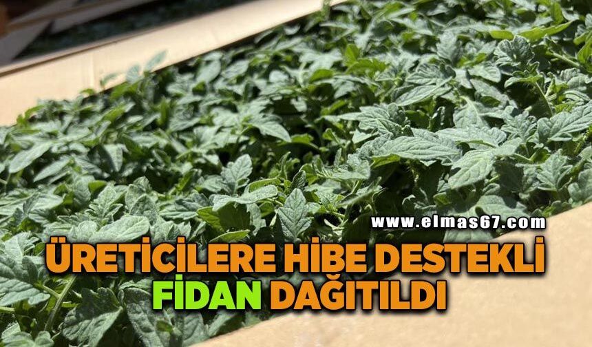 Üreticilere yüzde 75 hibe destekli fidan dağıtıldı