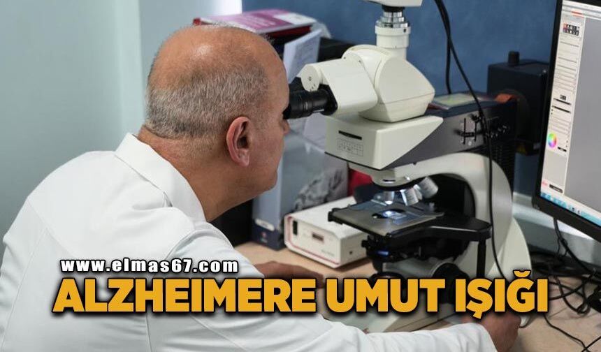 Alzheımer ve benzeri hastalıklara umut ışığı
