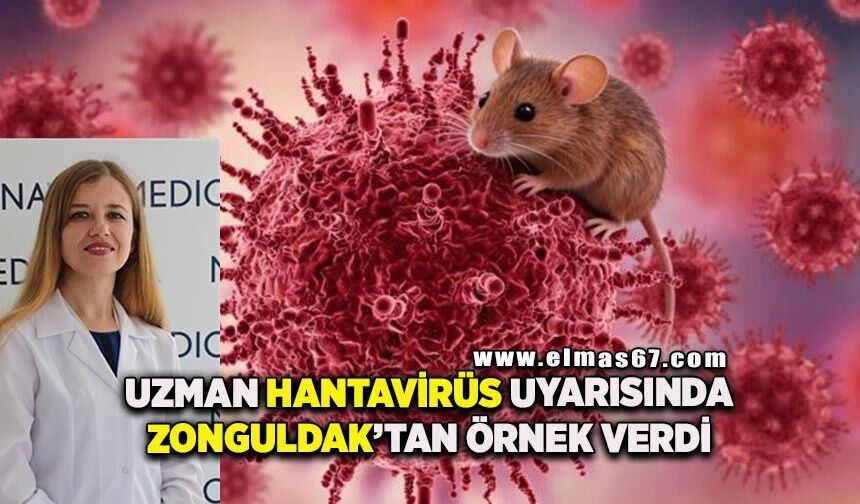 Hantavirüs virüsünün temel kaynağı are, sıçan ve hamster gibi kemiriciler