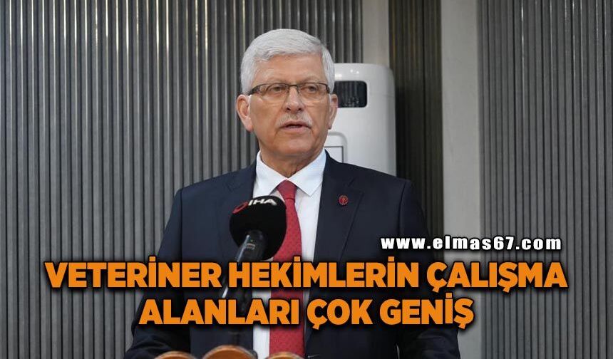 "Veteriner hekimlerin çalışma alanları çok geniş"