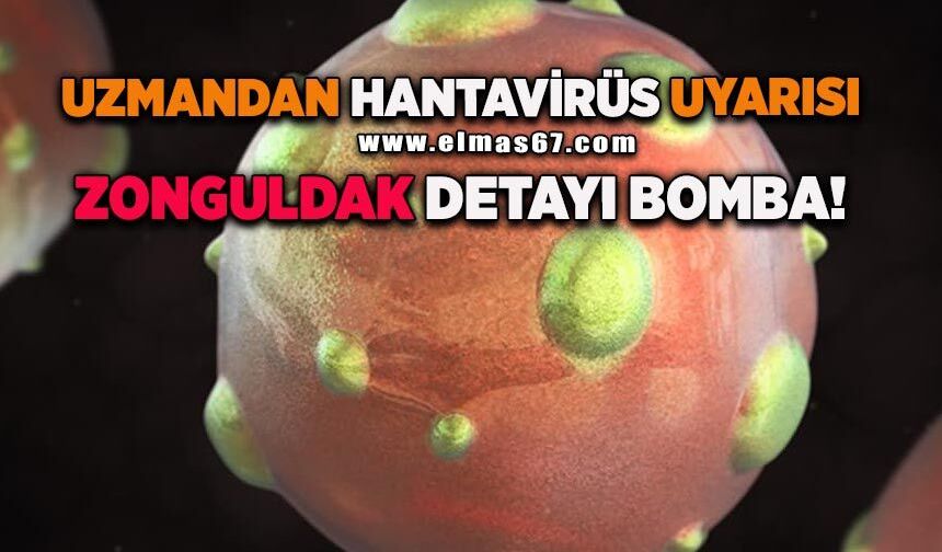 Uzmandan hantavirüs uyarısı: "Küresel salgın riski düşük ancak korunma önlemleri önemli"