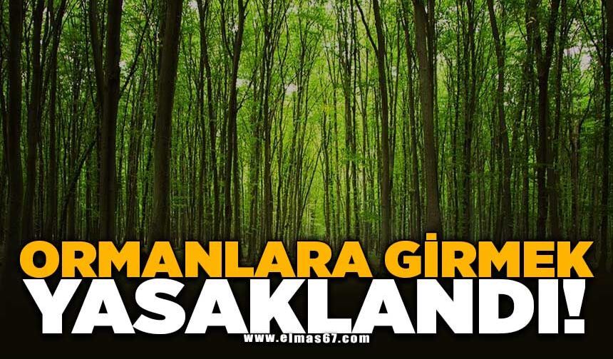 Ormanlara girmek yasaklandı