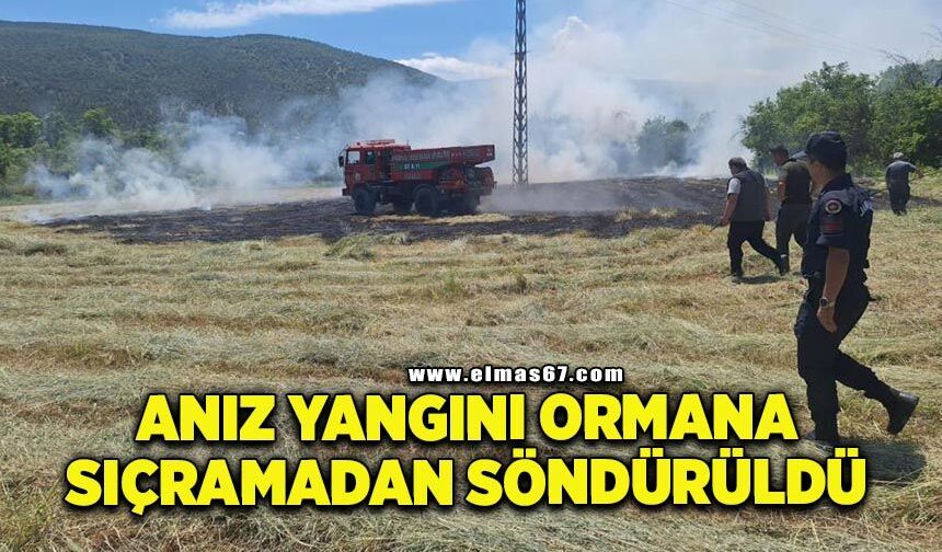Anız yangını ormana sıçramadan söndürüldü