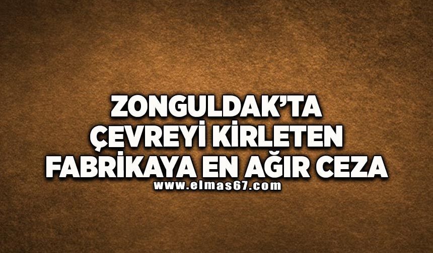 Zonguldak'ta çevreyi kirleten fabrikaya en ağır ceza