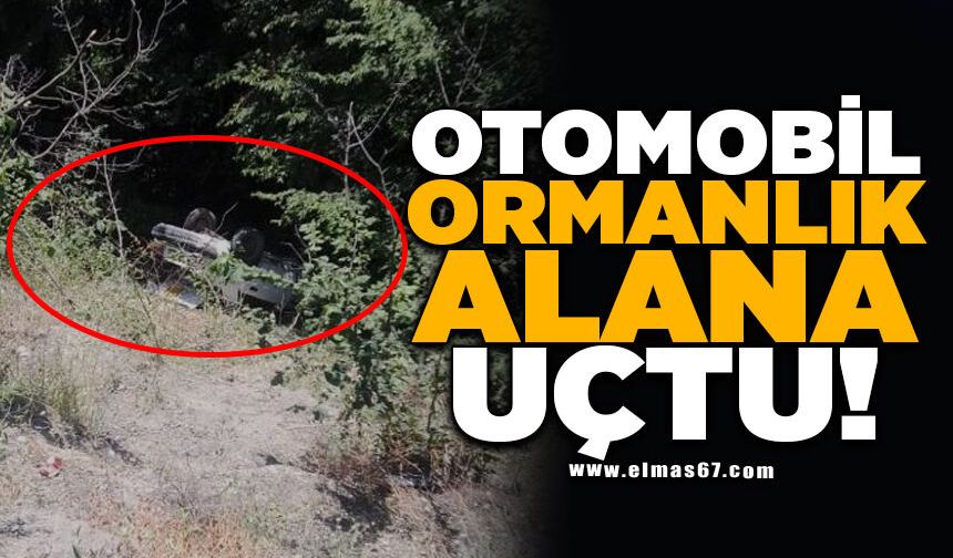 Ormanlık alana uçan otomobildeki 3 kişi yaralandı