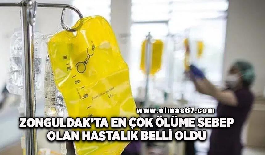 Zonguldak’ta en çok ölüme sebep olan hastalık belli oldu