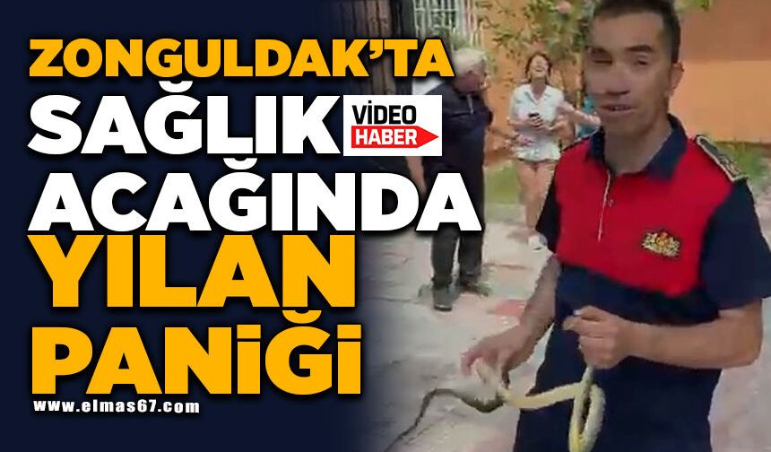 Sağlık ocağında yılan paniği
