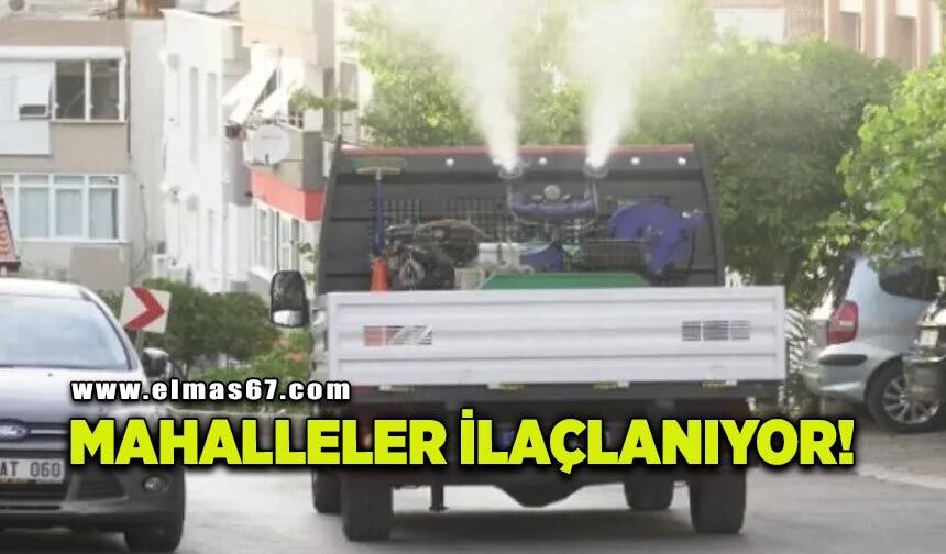 Mahalleler sineklere karşı ilaçlanıyor