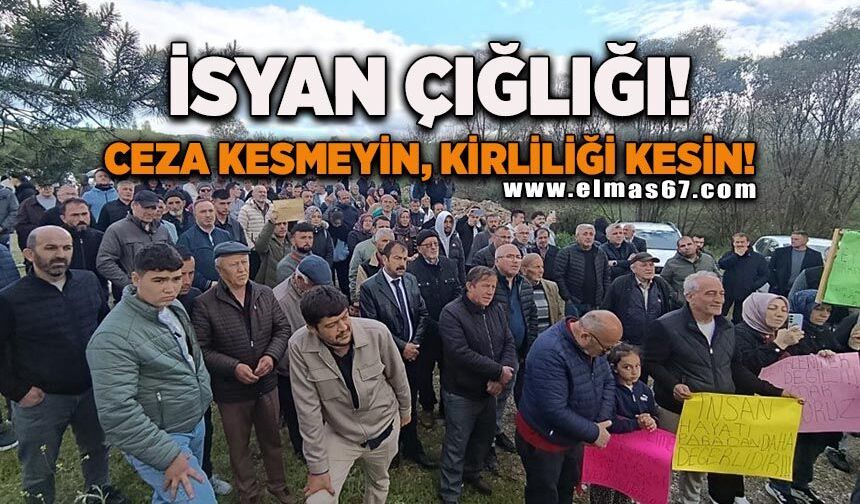 Gerede Çayı Platformundan isyan çığlığı: Ceza Kesmeyin, Kirliliği Kesin!