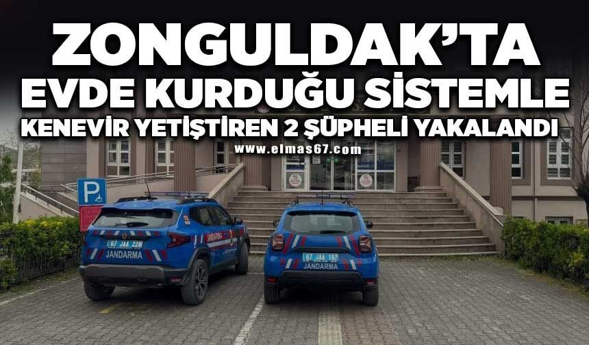 Eve kurduğu sistemle kenevir yetiştiren 2 şüpheli yakalandı
