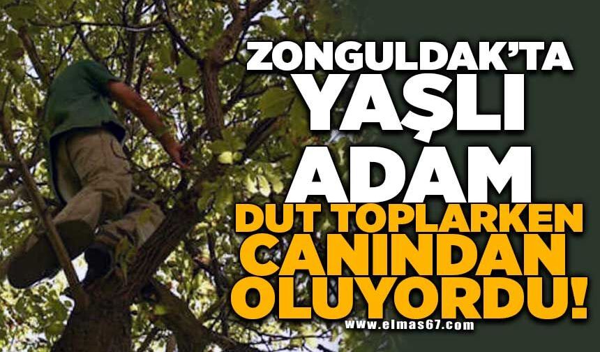 Dut Ağacından Düşen Vatandaş Ağır Yaralandı