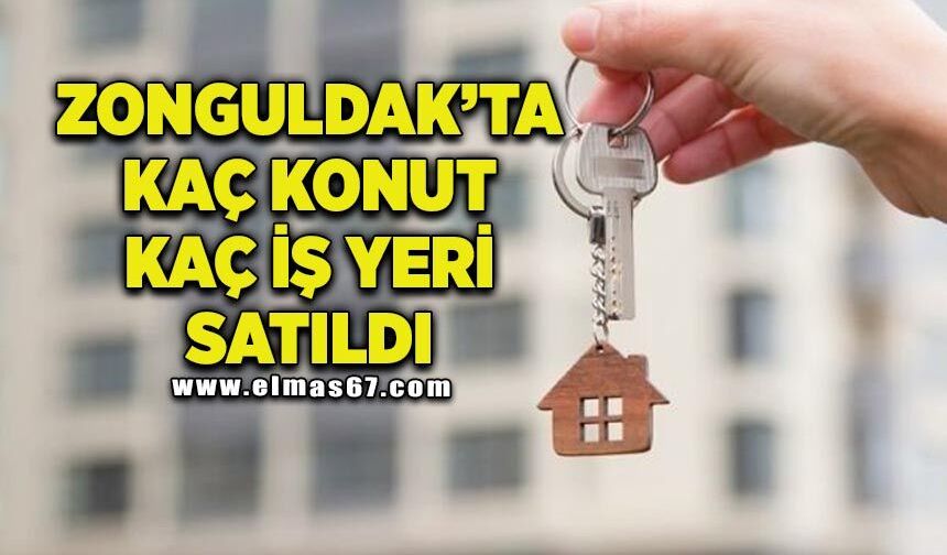 Zonguldak’ta kaç konut, kaç iş yeri satıldı?