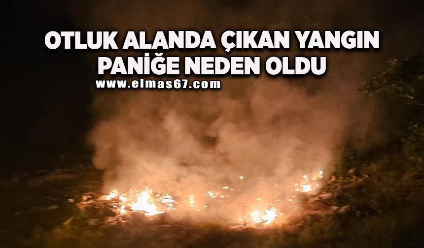 Otluk alanda yangın paniği