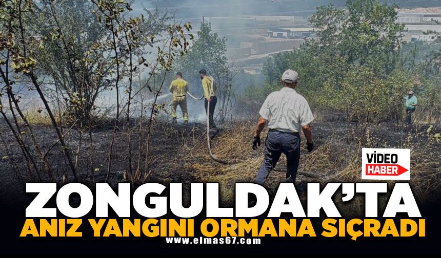 Anız yangını kontrolden çıkıp ormana sıçradı
