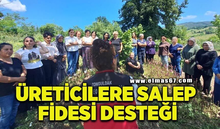 Kadın üreticilere 7 bin salep fidesi desteği