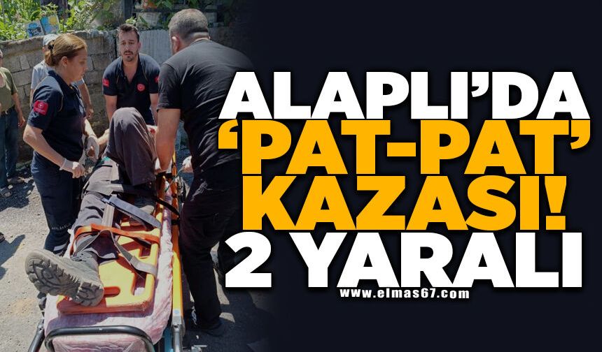 Alaplı'da 'pat-pat' kazası: 2 yaralı