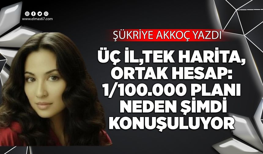 * Üç İl, Tek Harita, Ortak Hesap: 1/100.000 Planı Neden Şimdi Konuşuluyor *