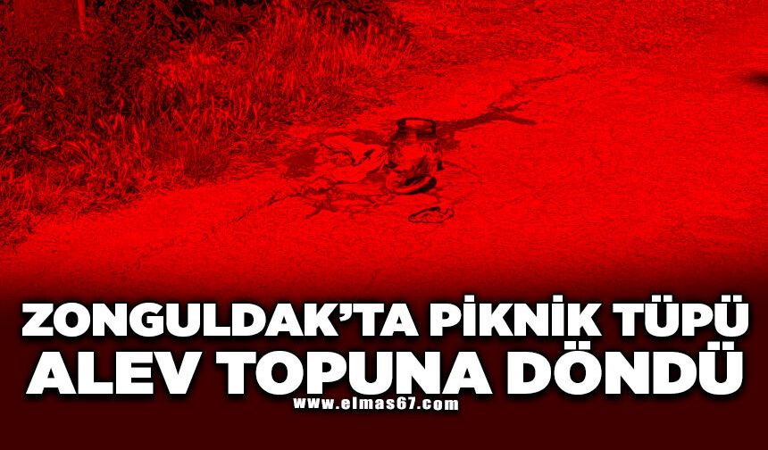 Alev topuna dönen piknik tüpü korkuttu