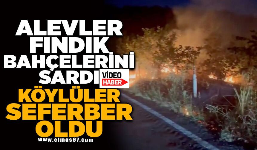 Alevler fındık bahçelerini sardı, köylüler seferber oldu