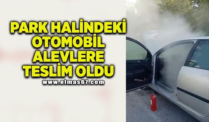 Park halindeki otomobil alevlere teslim oldu: Vatandaşlar yangın tüpleriyle seferber oldu