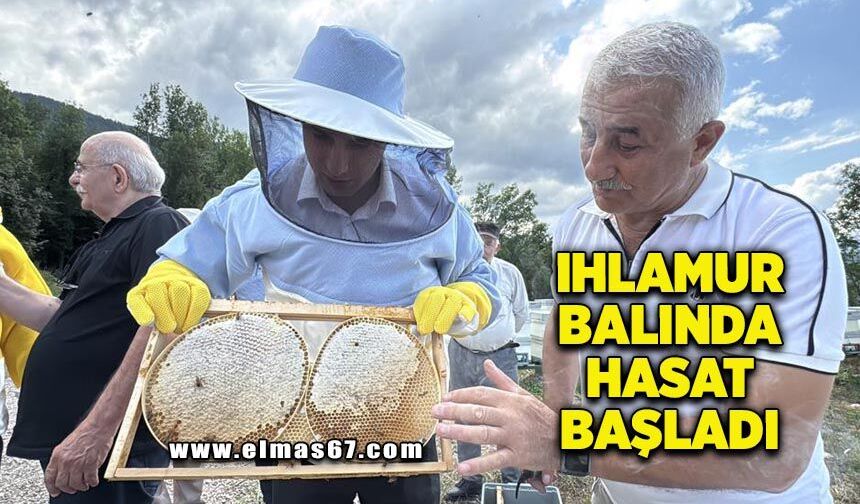 AB tescilli Yenice ıhlamur balında hasat başladı