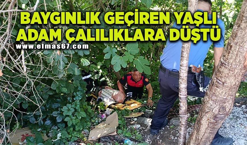 Baygınlık geçiren yaşlı adam çalılıklara düştü