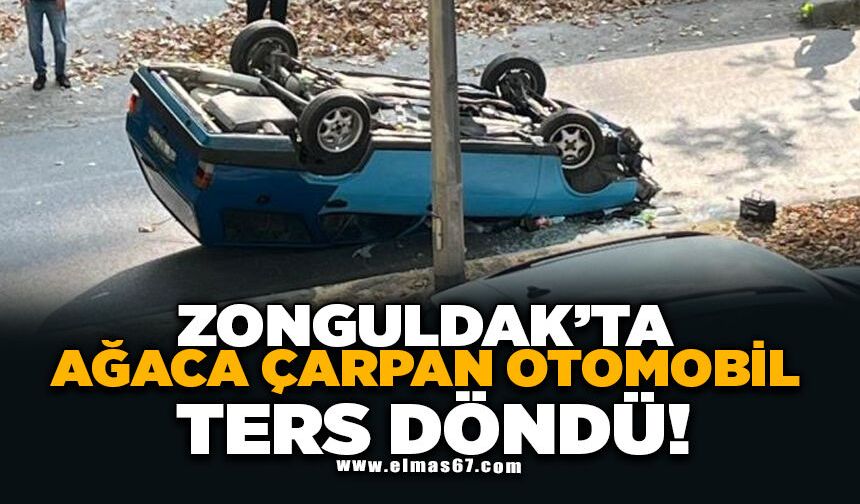 Ağaca çarpan otomobil ters döndü