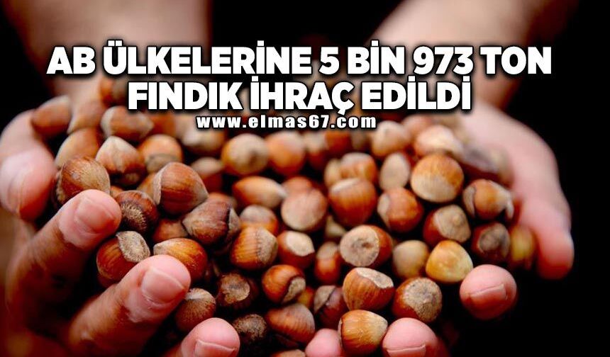 AB ülkelerine 5 bin 973 ton fındık ihraç edildi