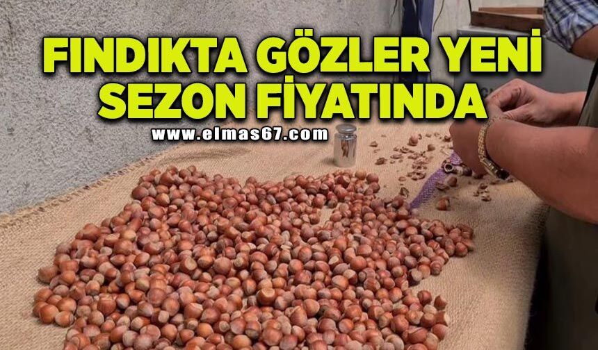 Fındıkta gözler yeni sezon fiyatında