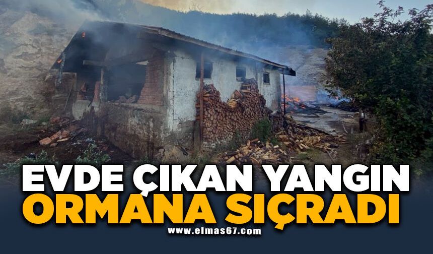 Evde çıkan yangın ormana sıçradı