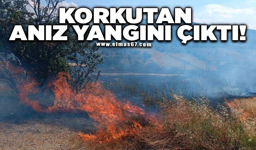 Korkutan anız yangını havadan ve karadan müdahaleyle kontrol altına alındı