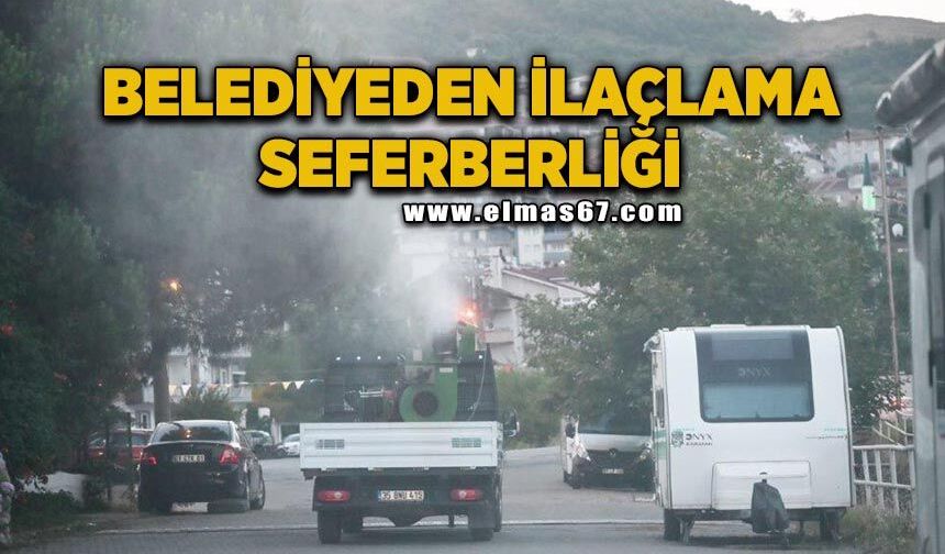 Belediyeden zararlı vektörlerle etkin mücadele
