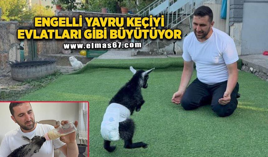 Doğuştan engelli yavru keçiyi sahiplenip evlatları gibi büyütüyorlar