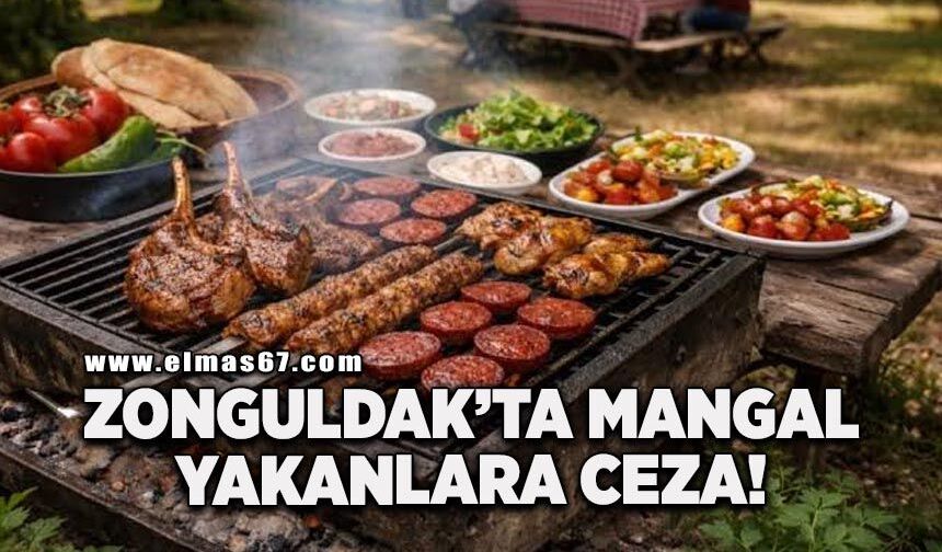 Zonguldak’ta mangal yakana ceza!
