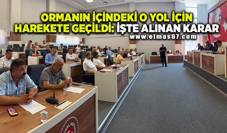 Ormanın içindeki o yol için harekete geçildi! İşte alınan karar...