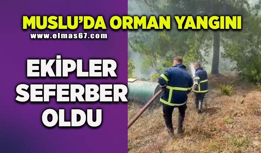 Muslu'da orman yangını! Ekipler seferber oldu
