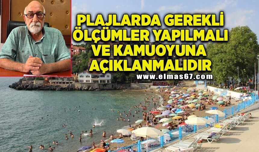 "Plajlarda gerekli ölçümler yapılmalı ve kamuoyuna açıklanmalıdır"