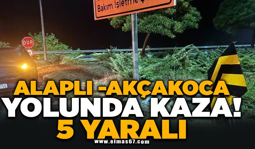 Alaplı Akçakoca yolunda kaza;5 yaralı