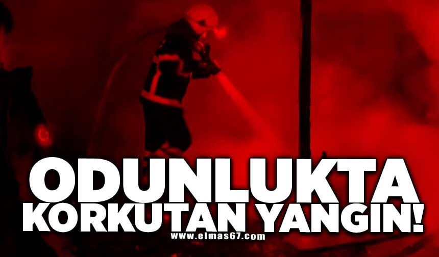 Odunlukta korkutan yangın